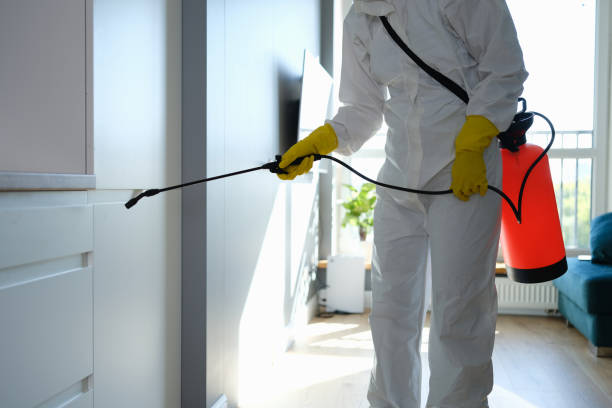 Best Residential Mold Removal  in North Madison, OH