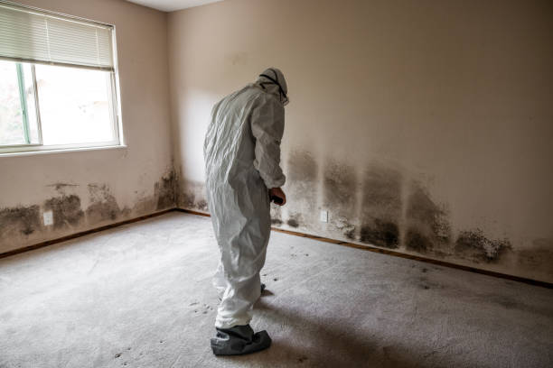 Best Office Mold Removal Services  in North Madison, OH